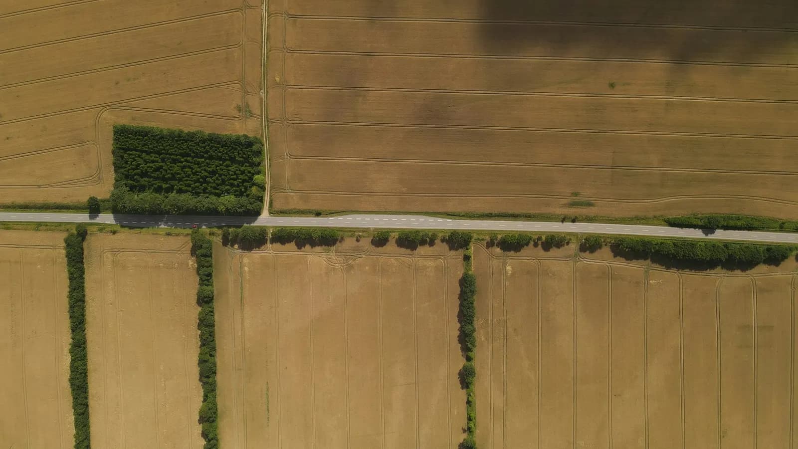 Drone aerial image of farmland before photogrammetric processing