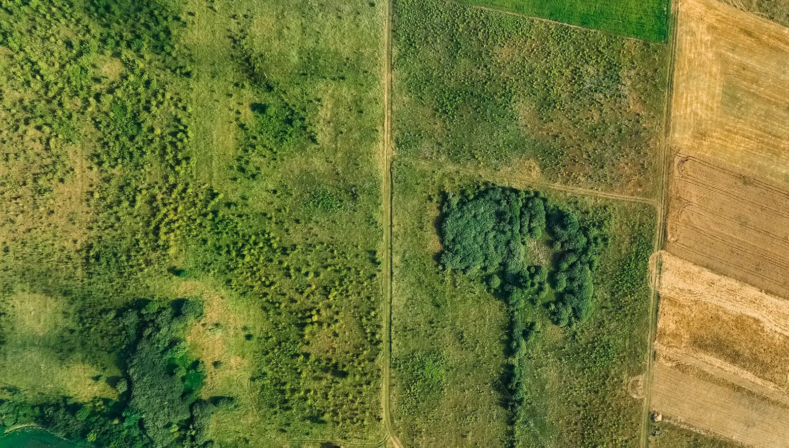 Land Subdivision & Parcellation