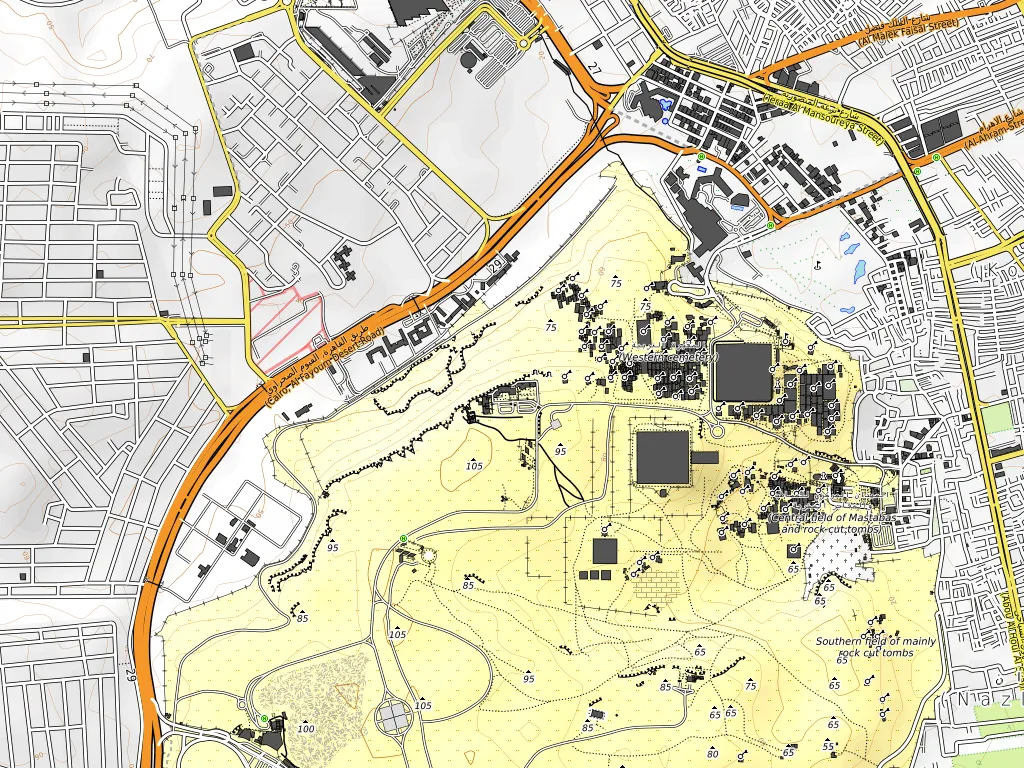 Topographic relief map of the Giza region showing terrain shading and contour-like detail